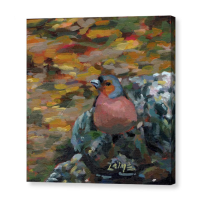 Robin in stream canvas print