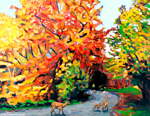 Deer on the path by Arturo Laime